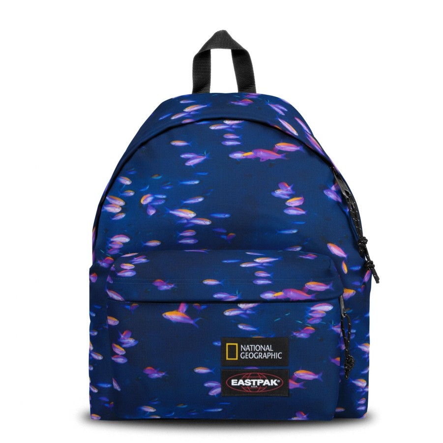 Collaborations | Eastpak US Padded Pak'R National Geographic Fish