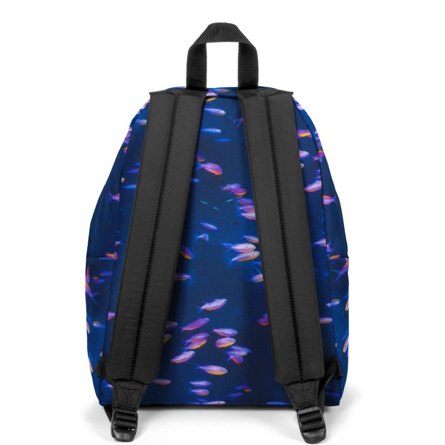 Collaborations | Eastpak US Padded Pak'R National Geographic Fish